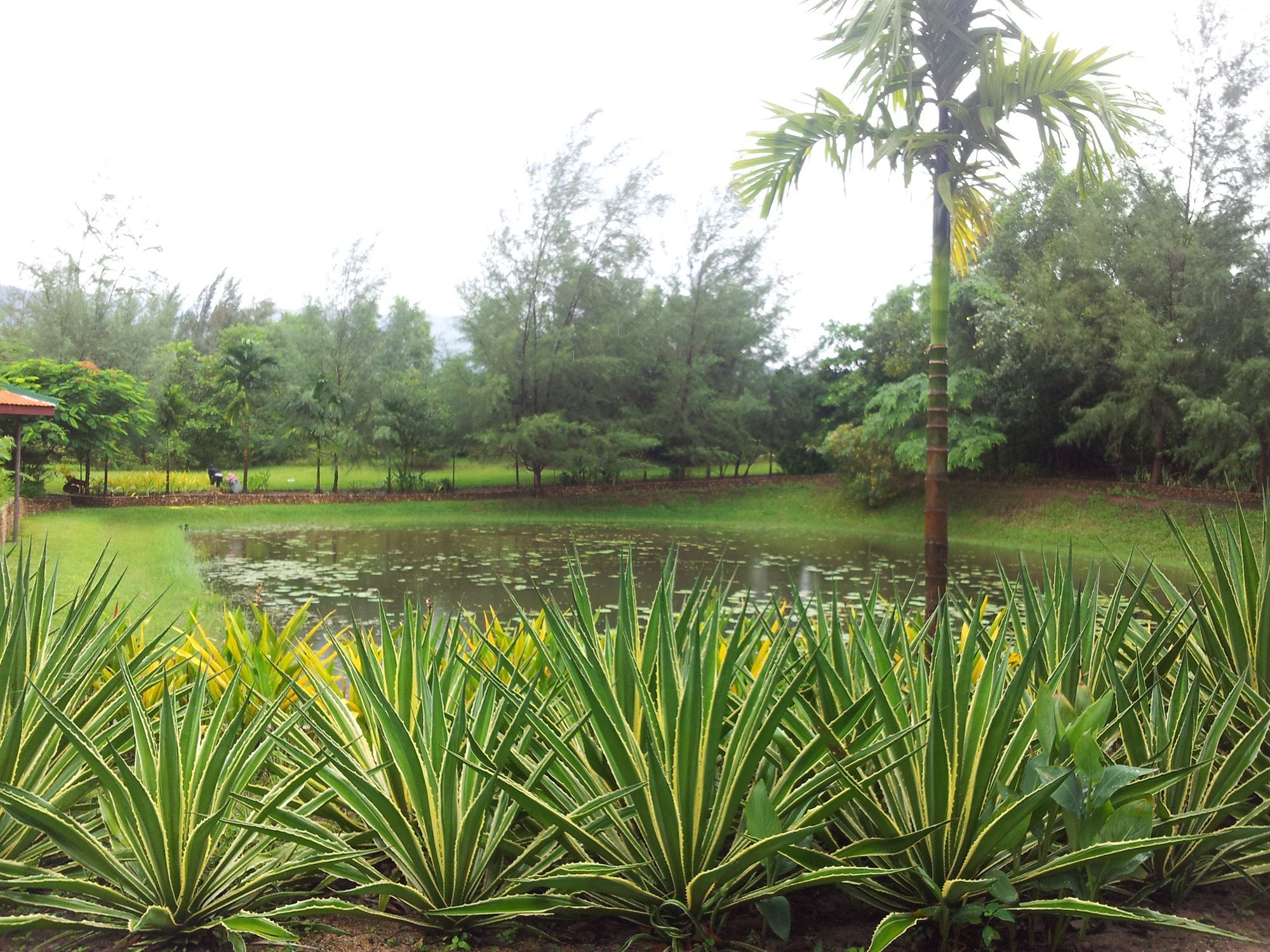 Nataya Round House Coral Bay Resort Kampot Exterior foto